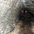 BDSCN3423