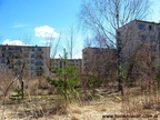 DIMG 0874
