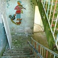 DIMG_0916.jpg