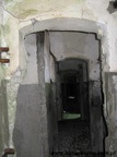 ZIMG 2287