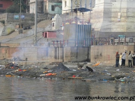 mvaranasi4