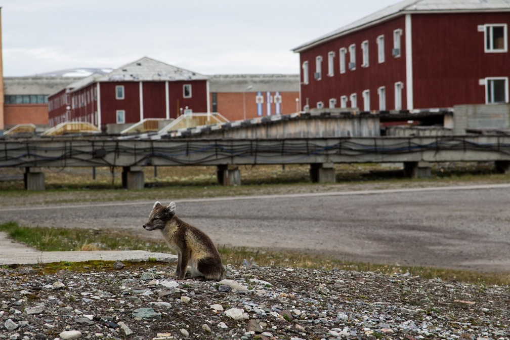 Pyramiden