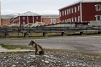 Pyramiden