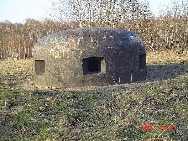 51.jpg
