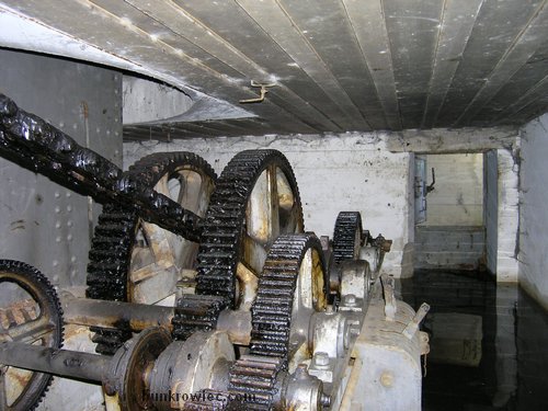 17.jpg