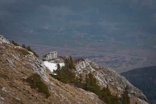 IMG_8703.jpg