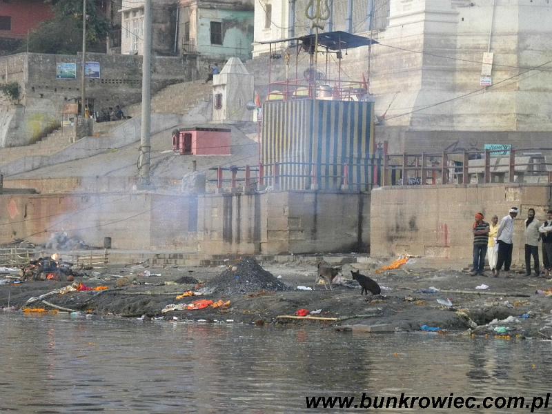 mvaranasi4