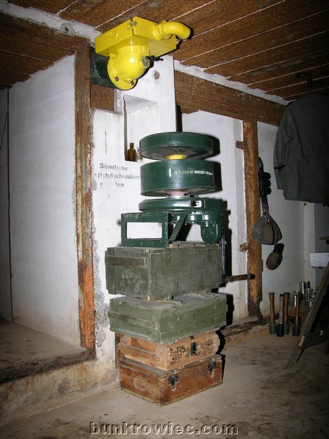 DSCN6146.jpg