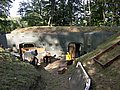 DSCN6117.jpg