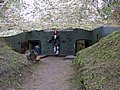 DSCN6150.jpg