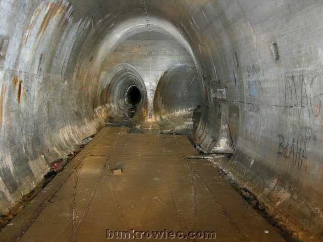 DSCN6127.jpg
