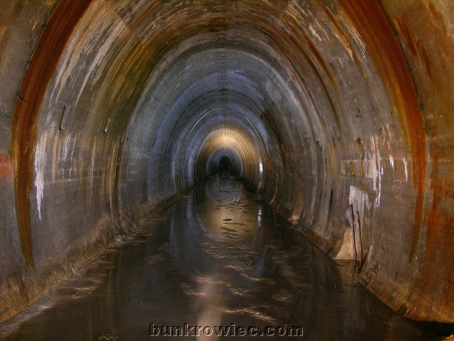 DSCN6128.jpg
