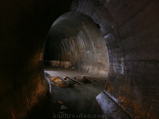 DSCN6129.jpg