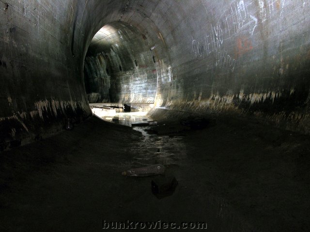 DSCN6184.jpg