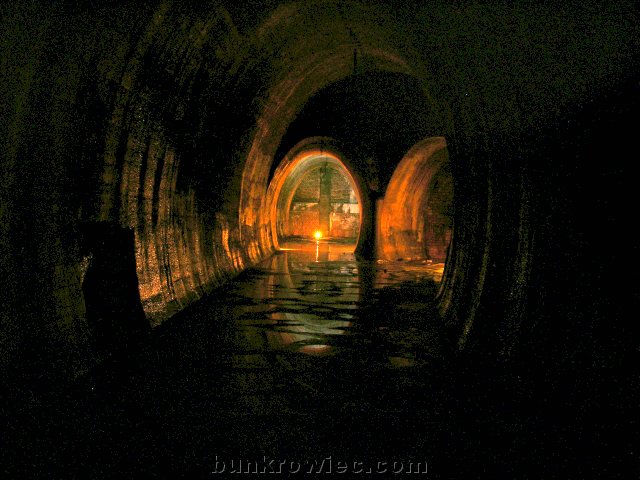 DSCN6186.jpg