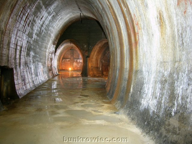 DSCN6187.jpg