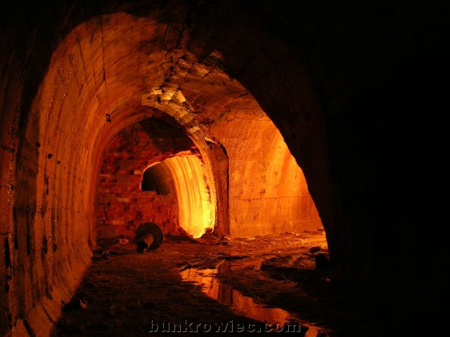 DSCN6194.jpg