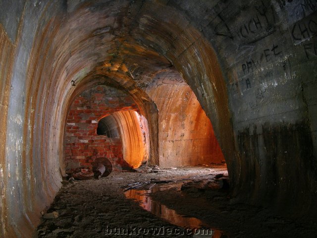 DSCN6195.jpg