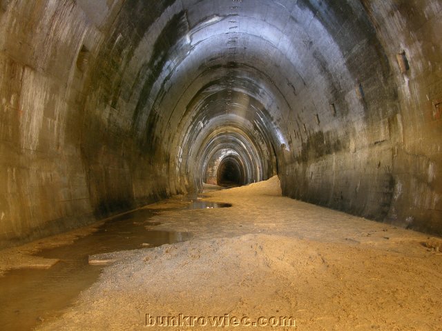 DSCN6199.jpg