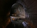 DSCN6129.jpg
