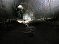 DSCN6184.jpg