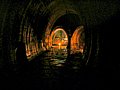 DSCN6186.jpg