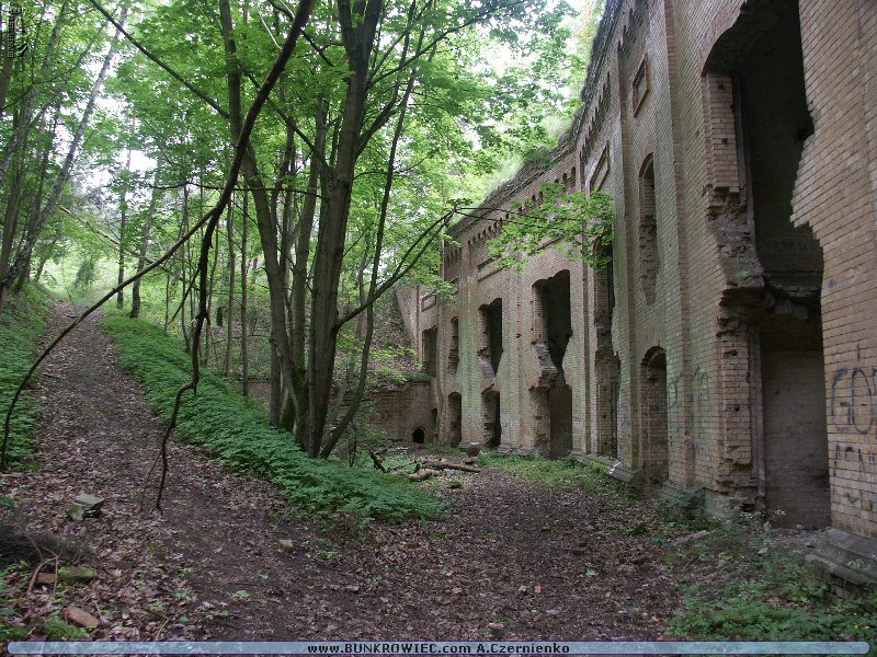 PICT4556.JPG