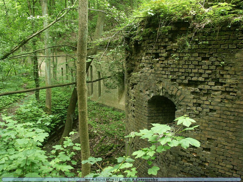 PICT4609.JPG