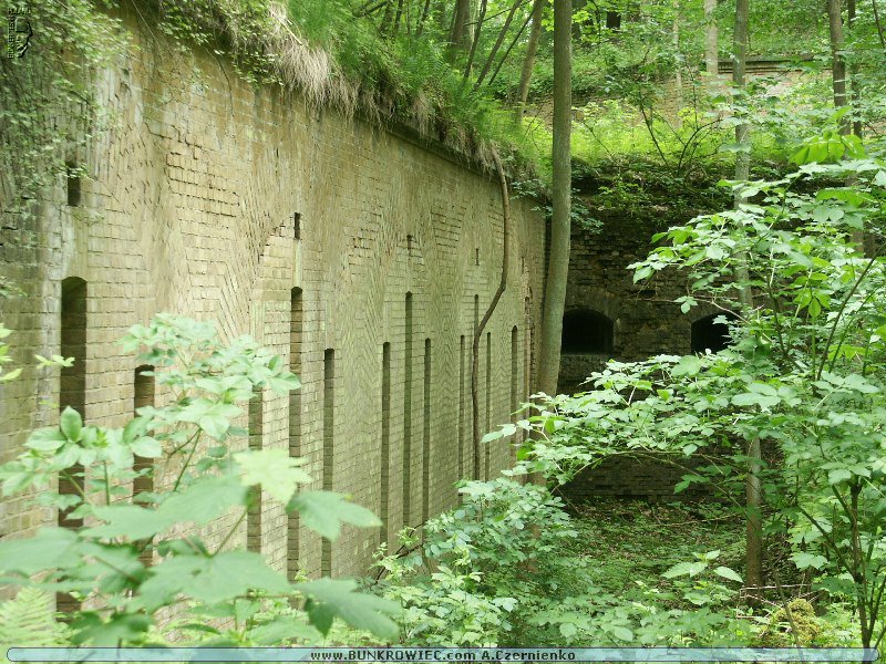 PICT4612.JPG