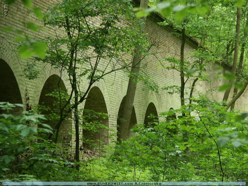 PICT4615.JPG
