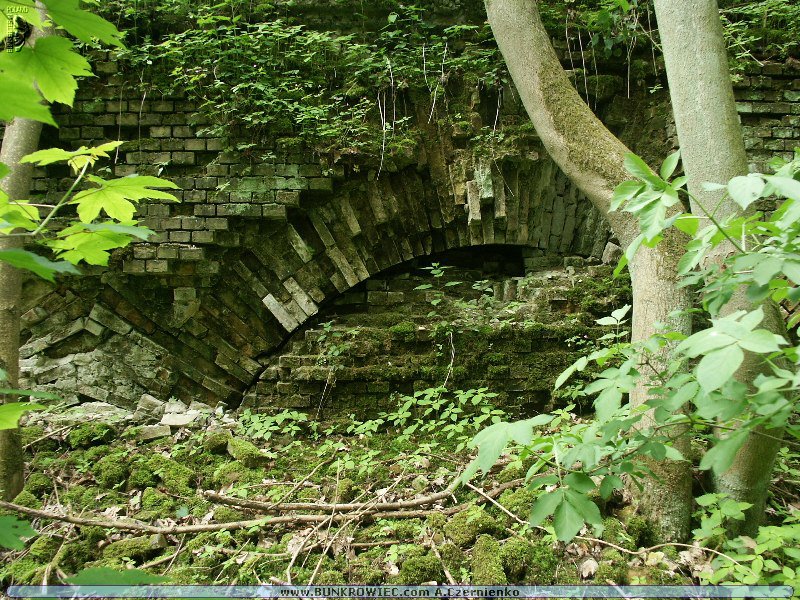 PICT4620.JPG