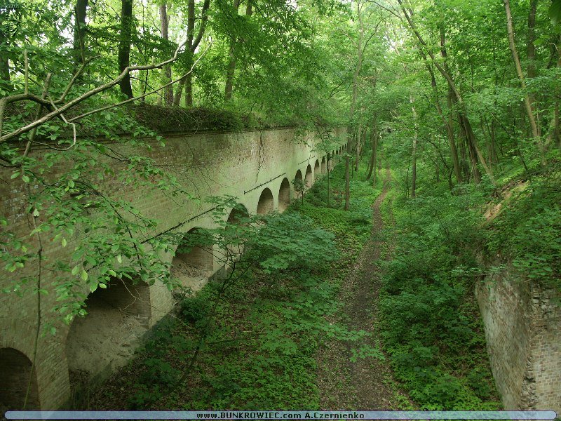 PICT4632.JPG