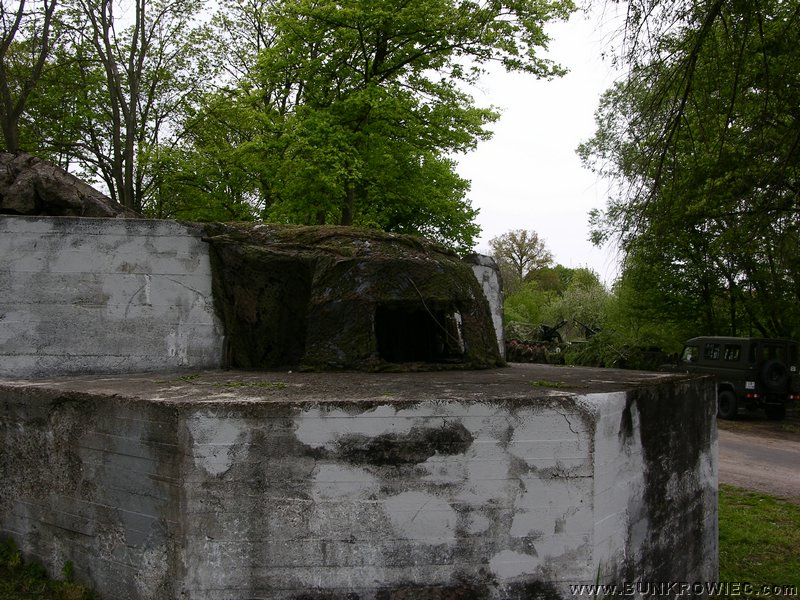 DSCN3630.jpg