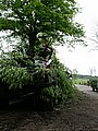 DSCN3626.jpg