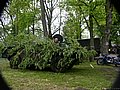 DSCN3703.jpg