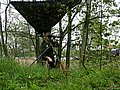 DSCN3760.jpg