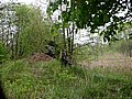 DSCN3765.jpg