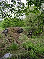DSCN3825.jpg