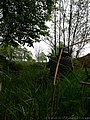 DSCN3831.jpg