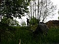 DSCN3832.jpg