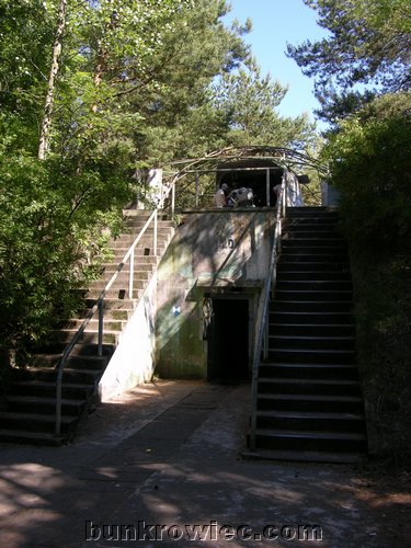 DSCN4438.jpg