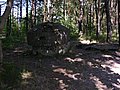 DSCN4410.jpg