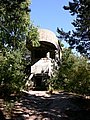 DSCN4419.jpg