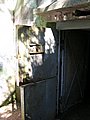 DSCN4423.jpg