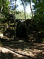 DSCN4431.jpg