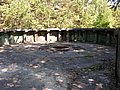 DSCN4436.jpg