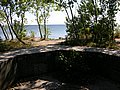 DSCN4445.jpg