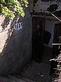 DSCN4464.jpg