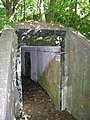 DSCN4475.jpg