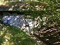 DSCN4485.jpg